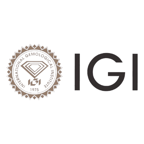 igi logo